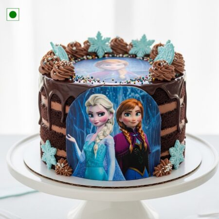 The Frozen Photo Chocolate Cake