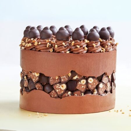 Chocolate Fault line Cake