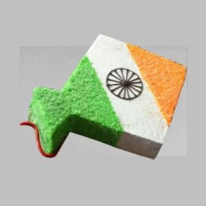 tri color kite cake